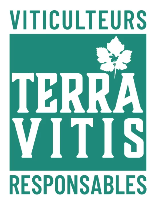 TerraVitis_NEW_Logo_FR_RVB-png.webp